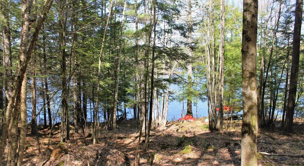 90 Evergreen Road Bridgton, ME 04009 - Photo 16 of 24 Water front, sellers are doing some...