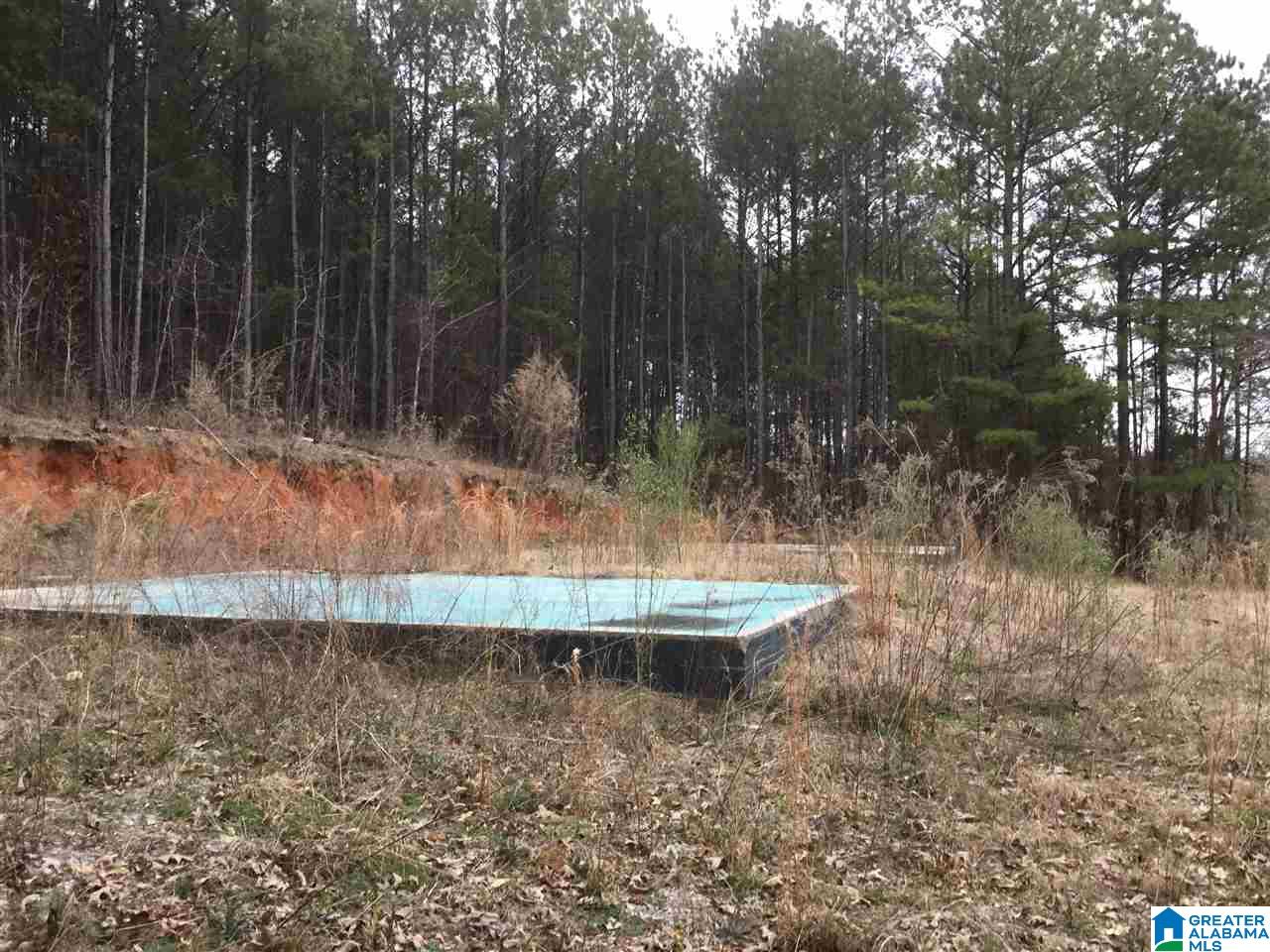 371 Hollys Lane, Unit 2 Riverside, AL 35135 - Photo 2 of 3