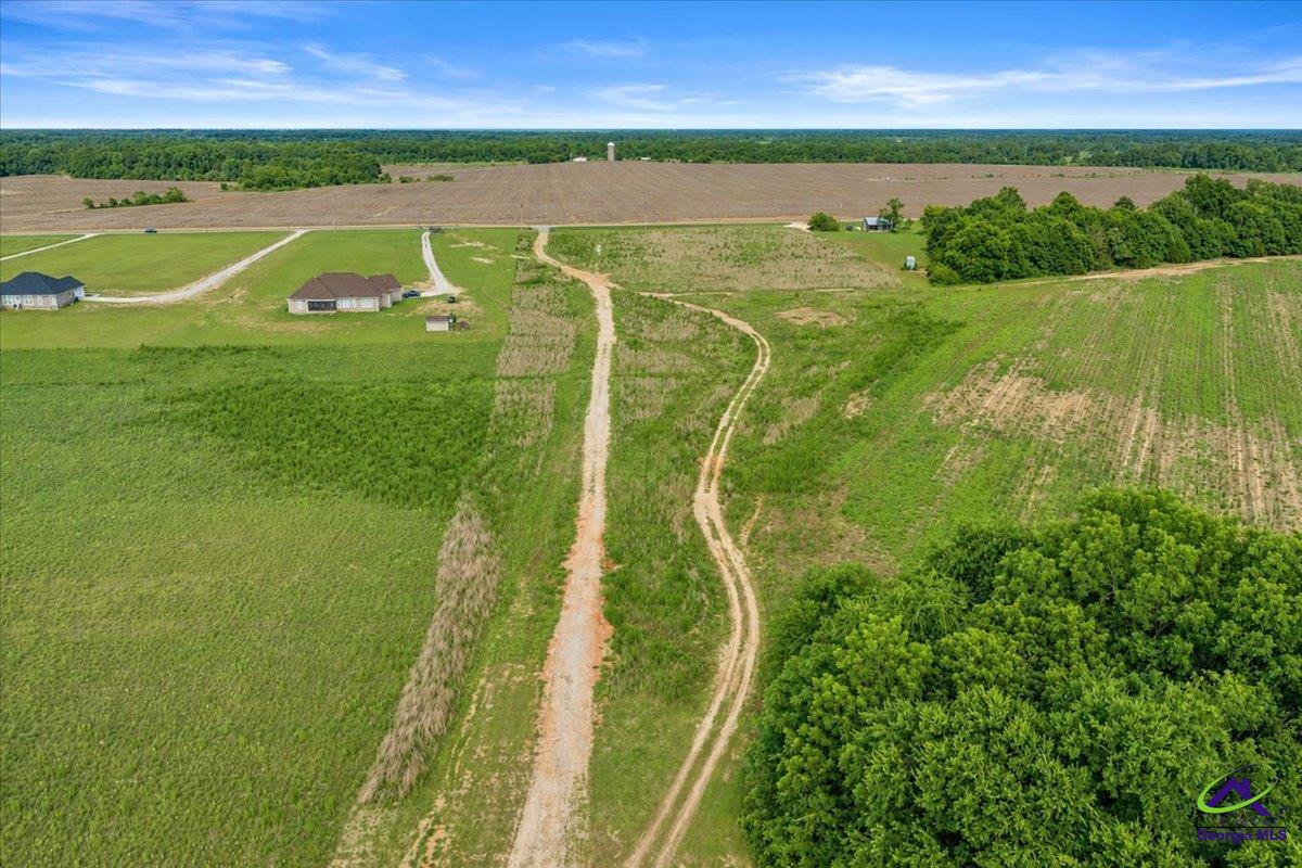 2581 Elko Road Elko, GA 31025 - Photo 7 of 16 Gallery Image 7