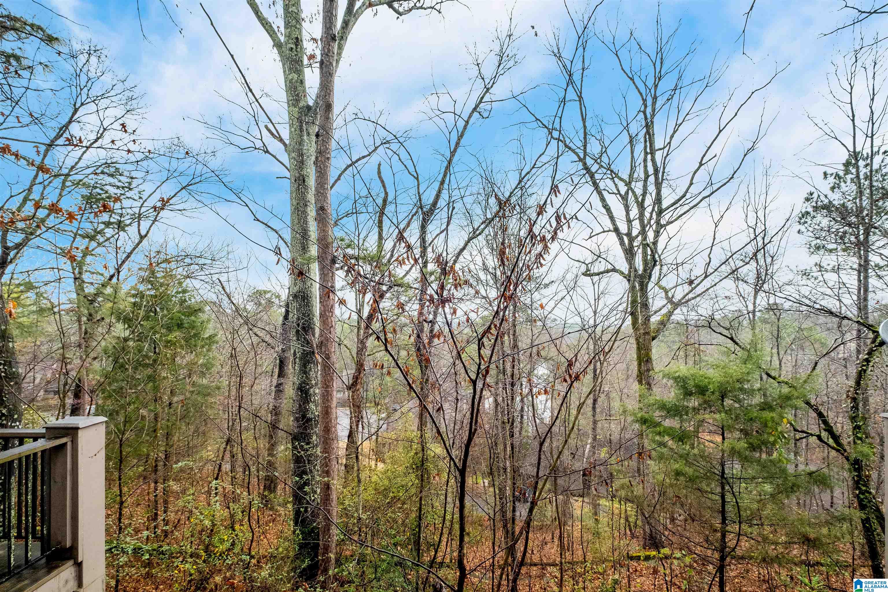 111 Cambrian Way, Unit 111 Birmingham, AL 35242 - Photo 49 of 50