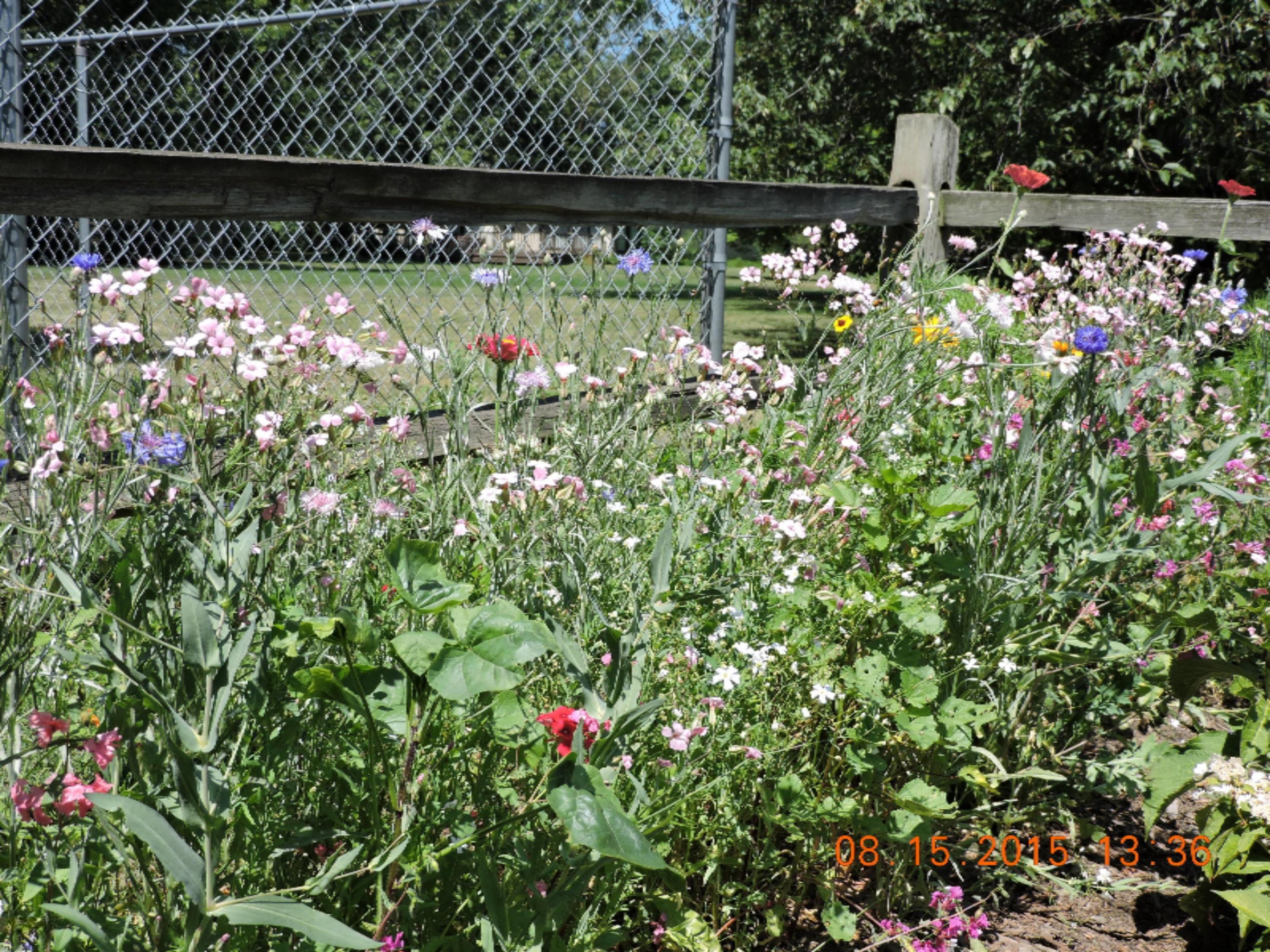 1389 Trebor Road St. Joseph, MI 49085 - Photo 39 of 55 DSCN1454