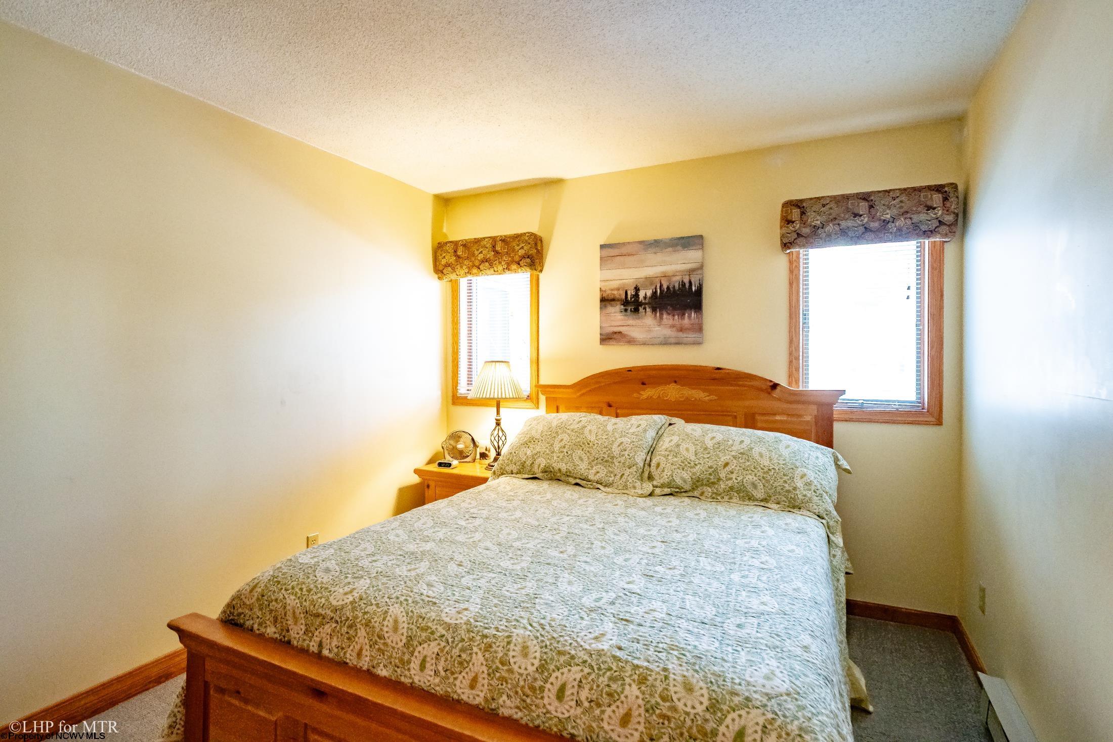 130 Brookside Road Davis, WV 26260 - Photo 19 of 40 Gallery Image 19