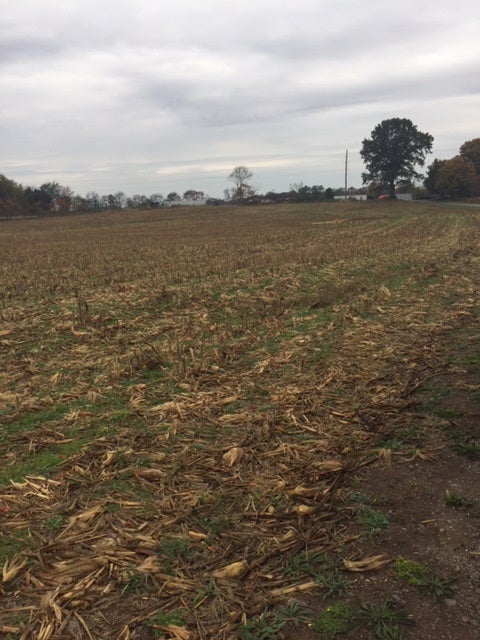 Lot 2 Woody Atkinson Road Bowling Green, KY 42101 - Photo 2 of 2 Gallery Image 2