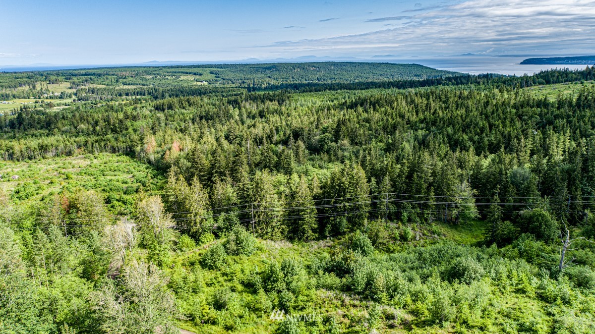 9999 Chicken Coop Road Sequim, WA 98382 - Photo 1 of 30 a view of a garden