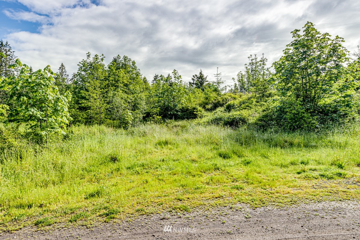 9999 Chicken Coop Road Sequim, WA 98382 - Photo 11 of 30 a backyard of a house with lots of green space