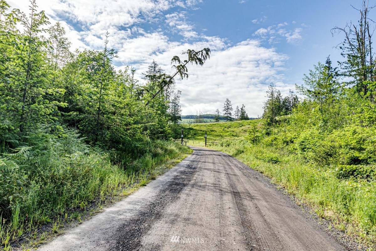 9999 Chicken Coop Road Sequim, WA 98382 - Photo 15 of 30 a view of a pathway both side of yard