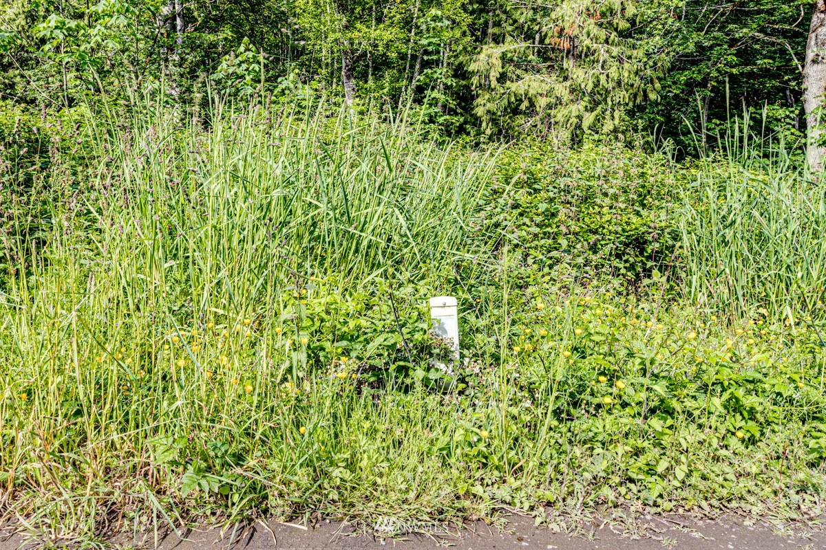 9999 Chicken Coop Road Sequim, WA 98382 - Photo 17 of 30 a view of a garden