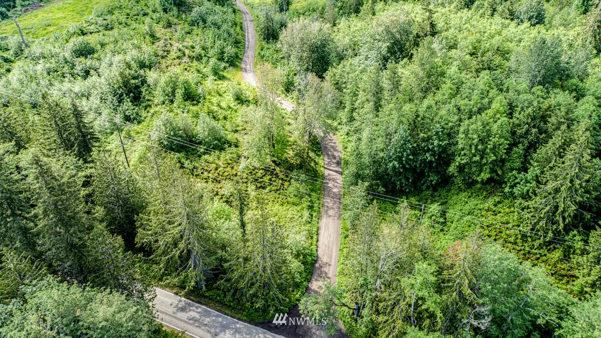 9999 Chicken Coop Road Sequim, WA 98382 - Photo 21 of 30 a view of a lush green forest