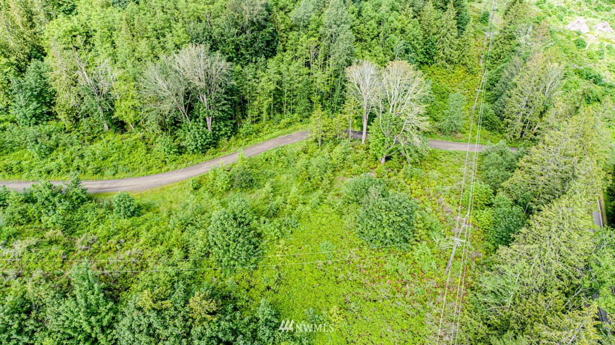 9999 Chicken Coop Road Sequim, WA 98382 - Photo 22 of 30 a view of a lush green forest