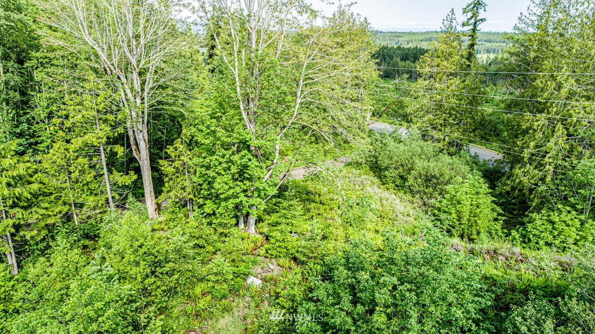 9999 Chicken Coop Road Sequim, WA 98382 - Photo 23 of 30 a view of a lush green forest
