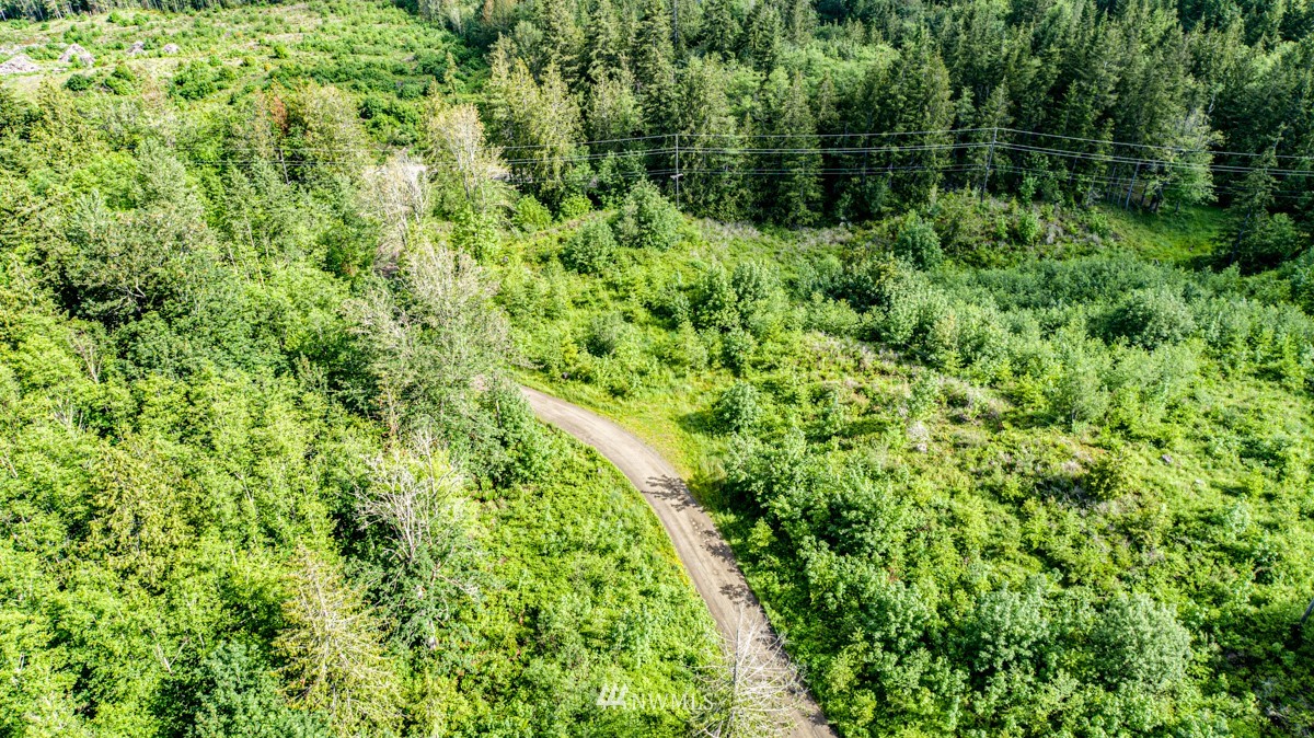9999 Chicken Coop Road Sequim, WA 98382 - Photo 26 of 30 a view of a lush green forest