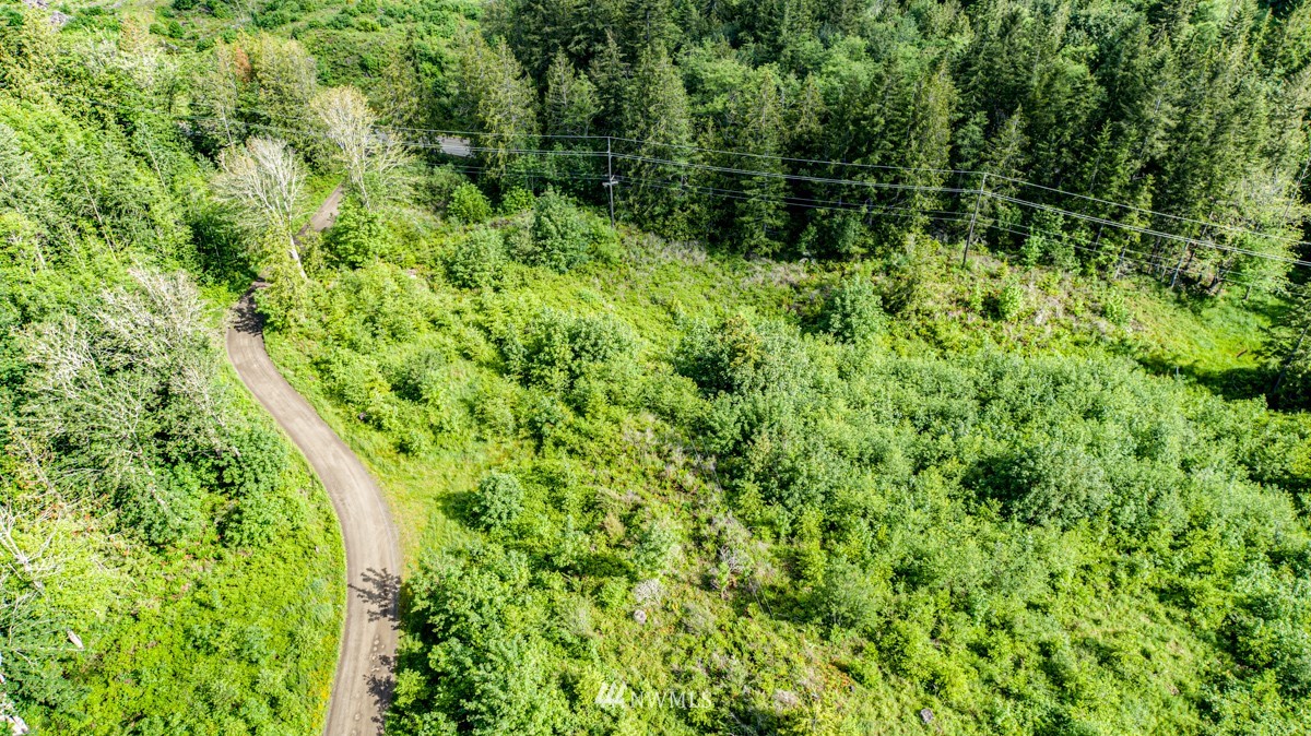 9999 Chicken Coop Road Sequim, WA 98382 - Photo 27 of 30 a view of a lush green forest with trees and flowers