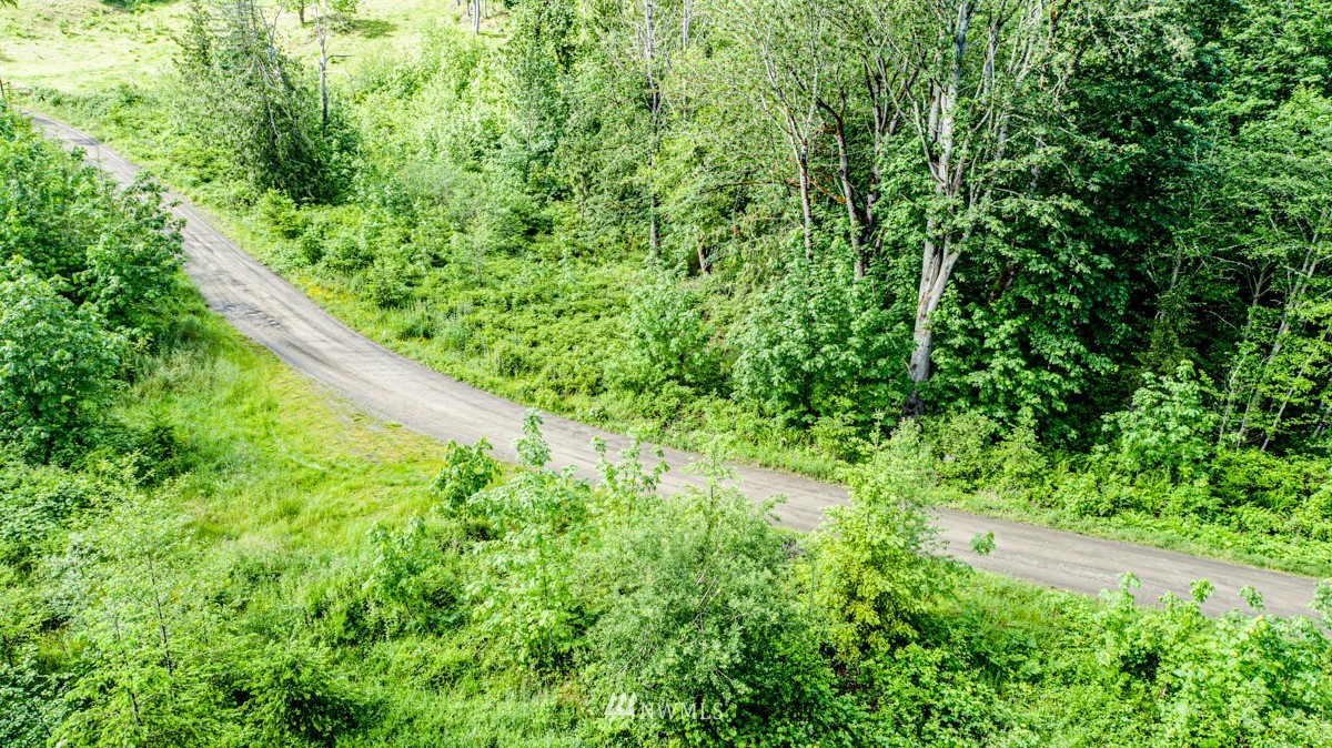 9999 Chicken Coop Road Sequim, WA 98382 - Photo 30 of 30 a view of a lush green forest with lawn chairs