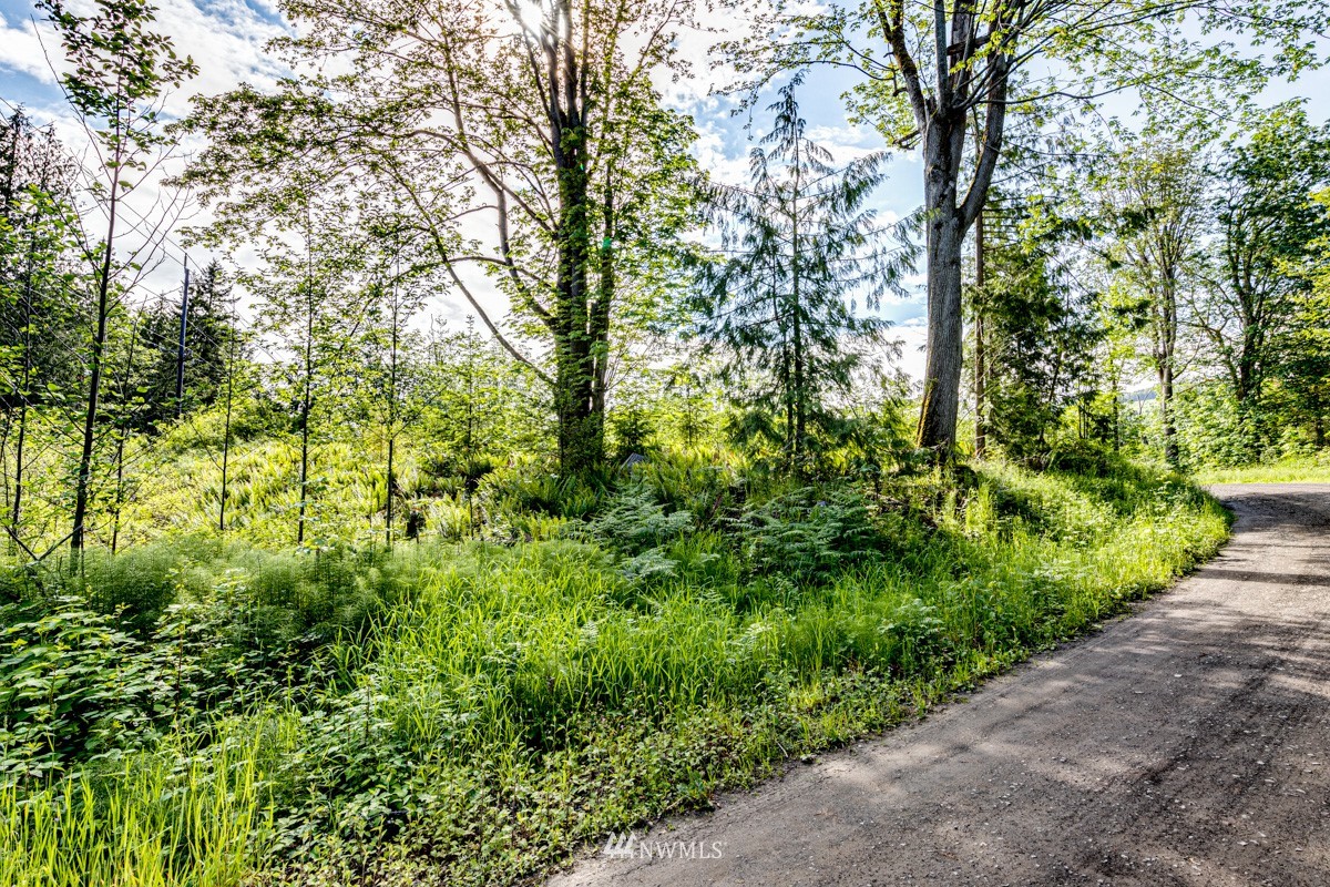 9999 Chicken Coop Road Sequim, WA 98382 - Photo 8 of 30 a view of a garden with plants and trees