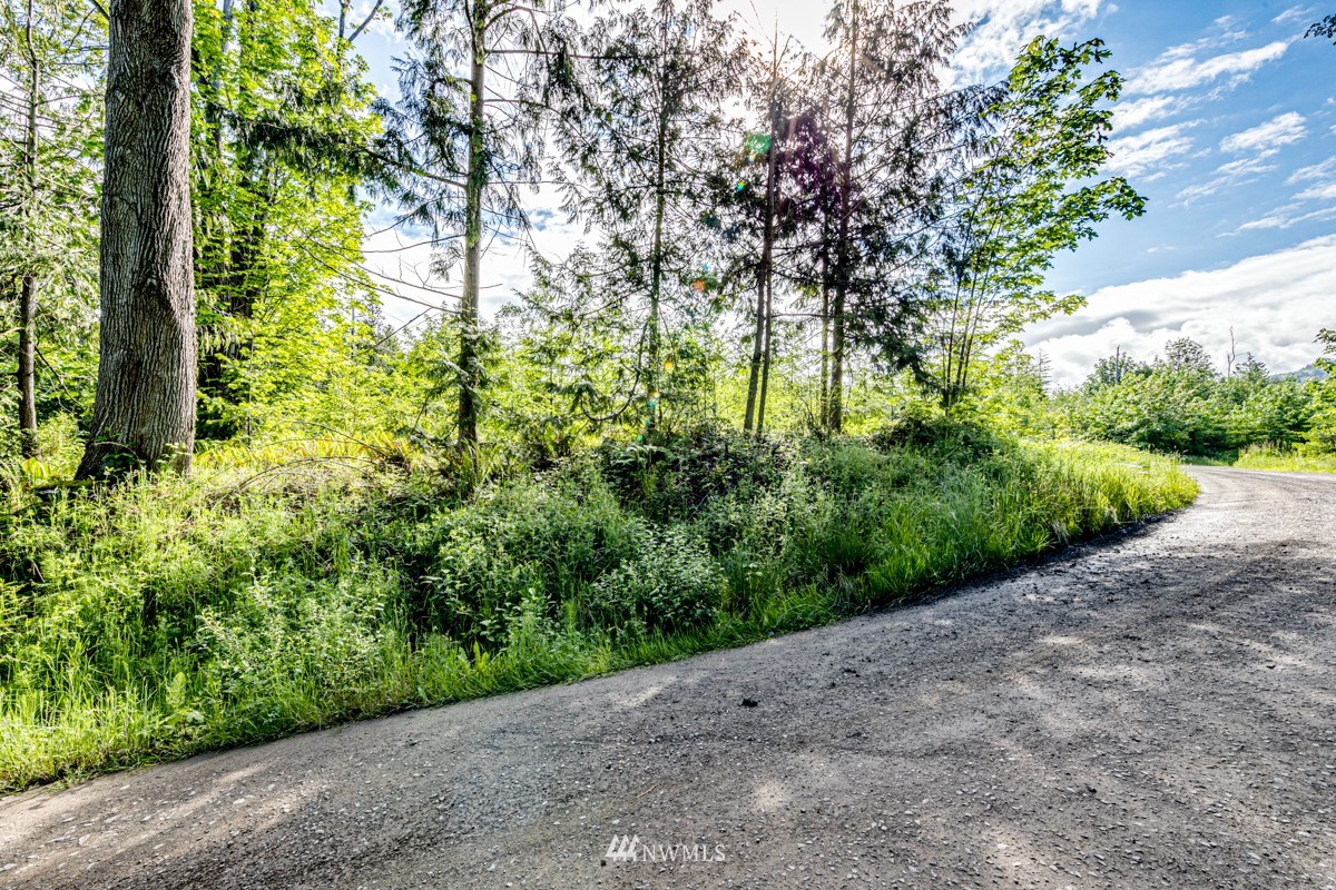 9999 Chicken Coop Road Sequim, WA 98382 - Photo 9 of 30 a view of a garden with plants and large trees