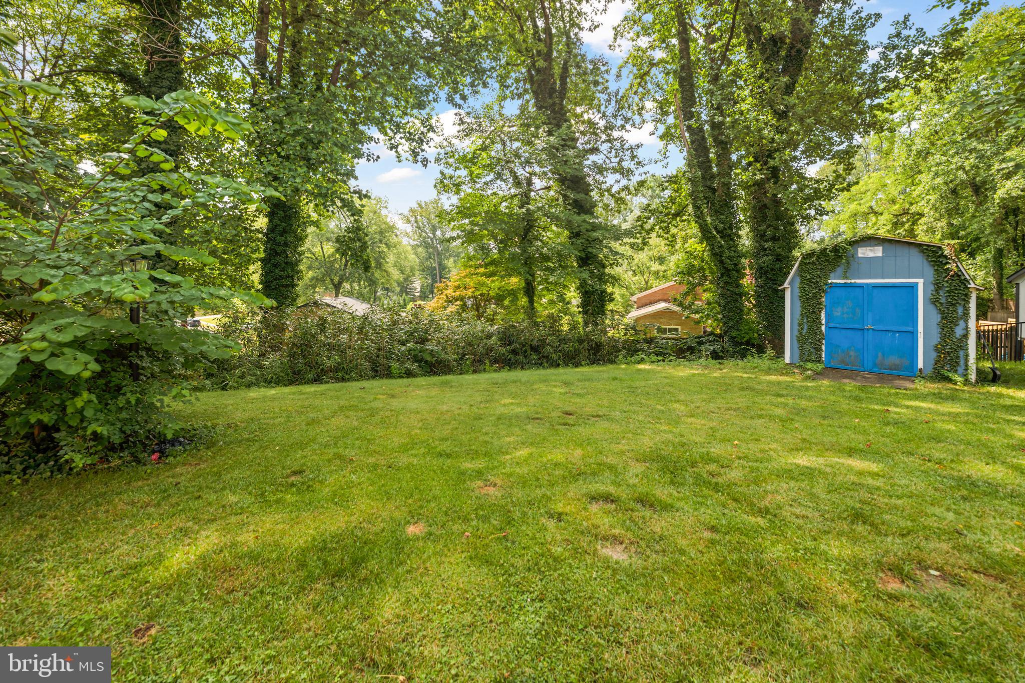 6711 Doane Avenue Springfield, VA 22152 - Photo 4 of 13 Backyard