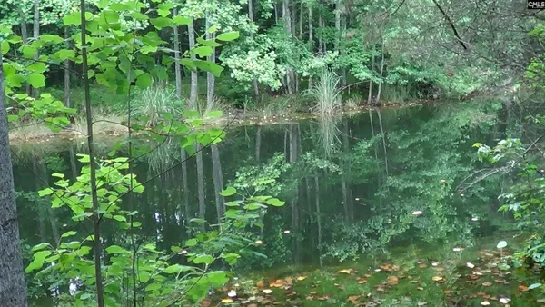 $670,000 | 2815 Highway 1, Elgin, SC 29045
