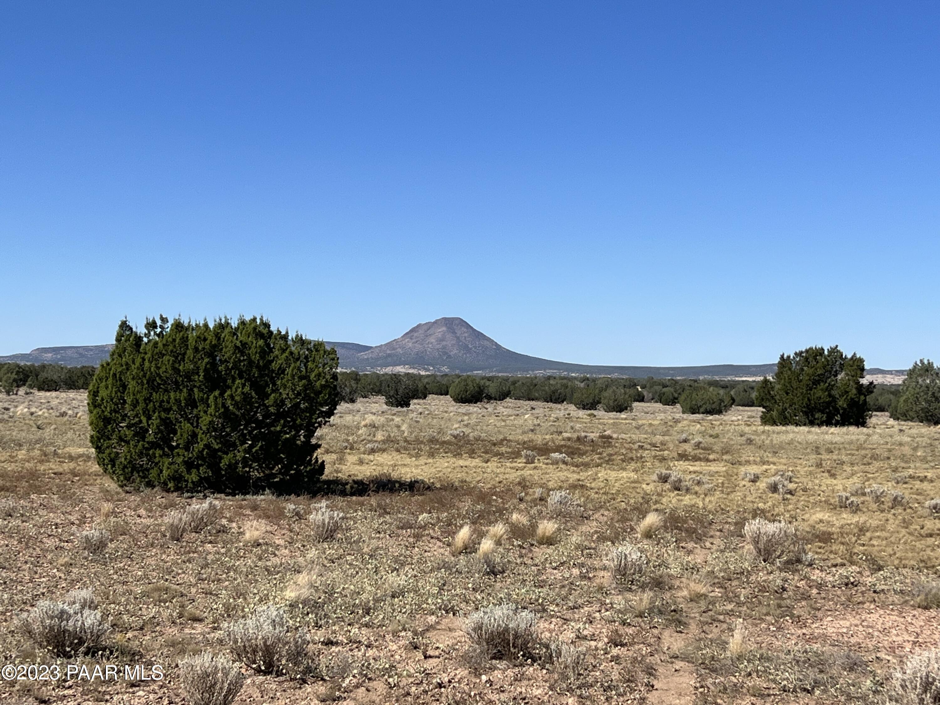 135 Northeast Boars Breath Road Ash Fork, AZ 86320 - Photo 1 of 6 IMG_4206