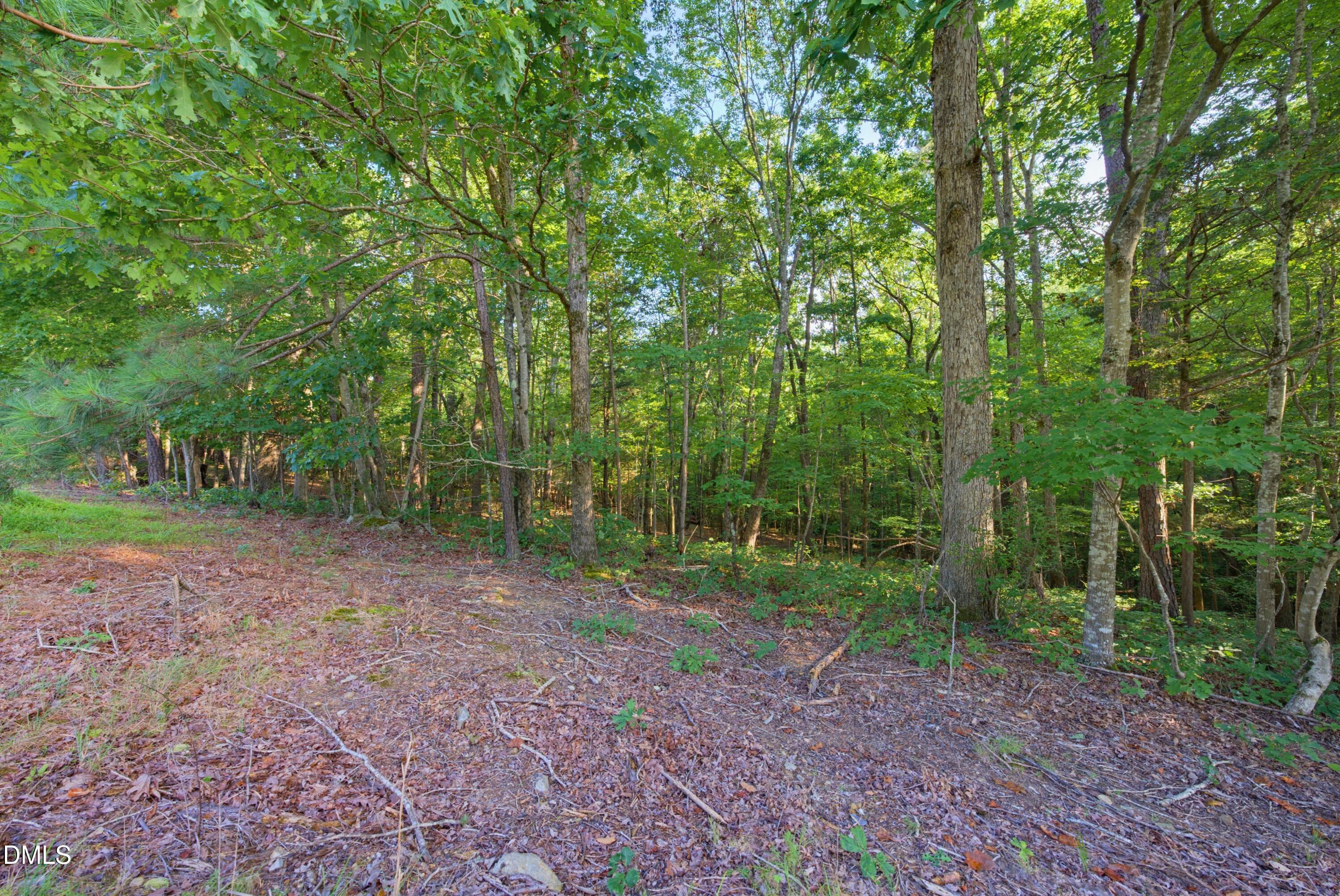 100 Sloping Pond Road Pittsboro, NC 27312 - Photo 11 of 24 DSC04592