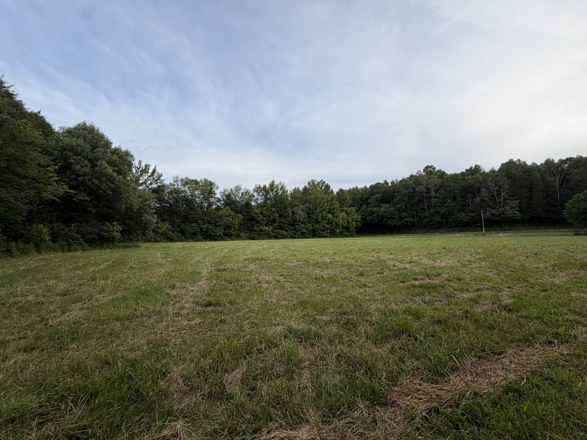 0 Dry Branch Road Holladay, TN 38341 - Photo 15 of 17