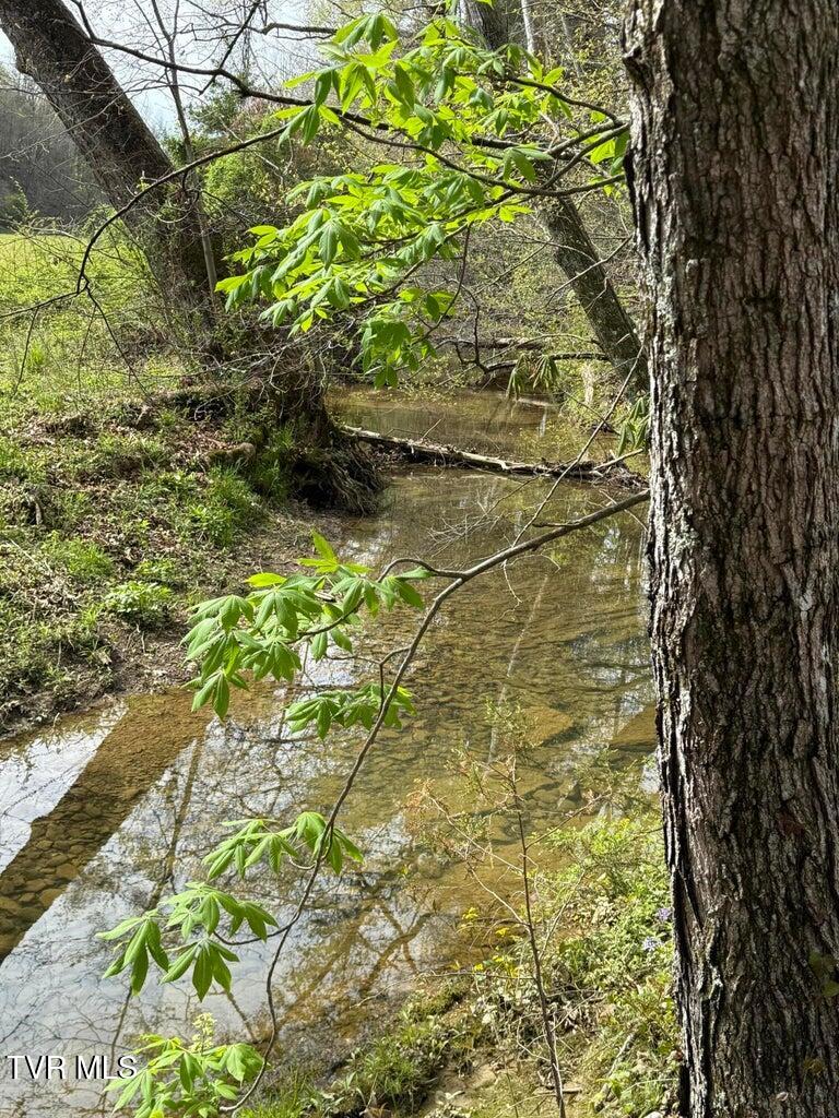 0 Longtown Road Bulls Gap, TN 37711 - Photo 10 of 34 20250417183643047046000000-o