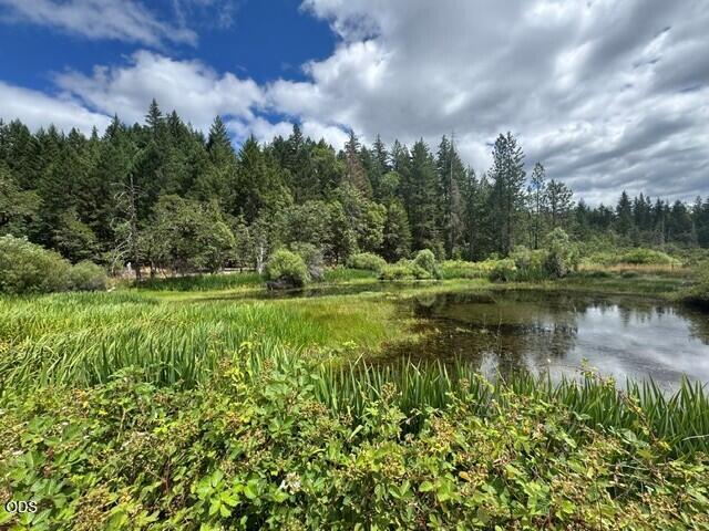 5345 West Side Road Cave Junction, OR 97523 - Photo 1 of 25