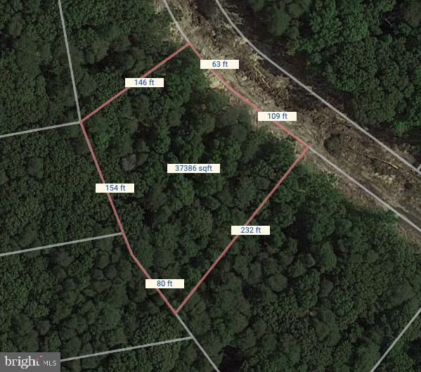 19063 Winterberry Street Milton, DE 19968 - Photo 58 of 59