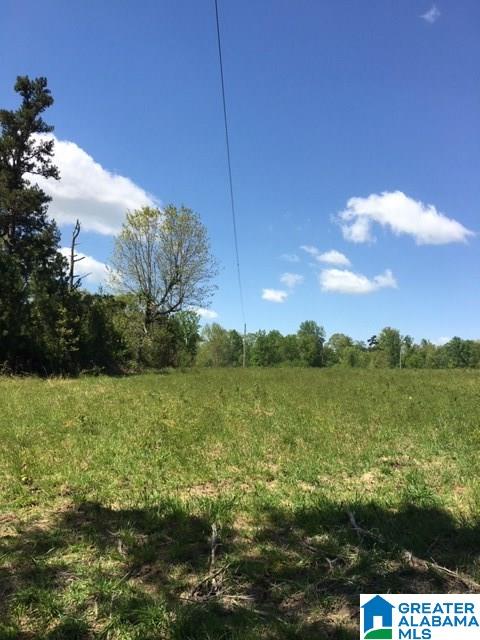 106 County Road, Unit 49836 Mentone, AL 35984 - Photo 12 of 17