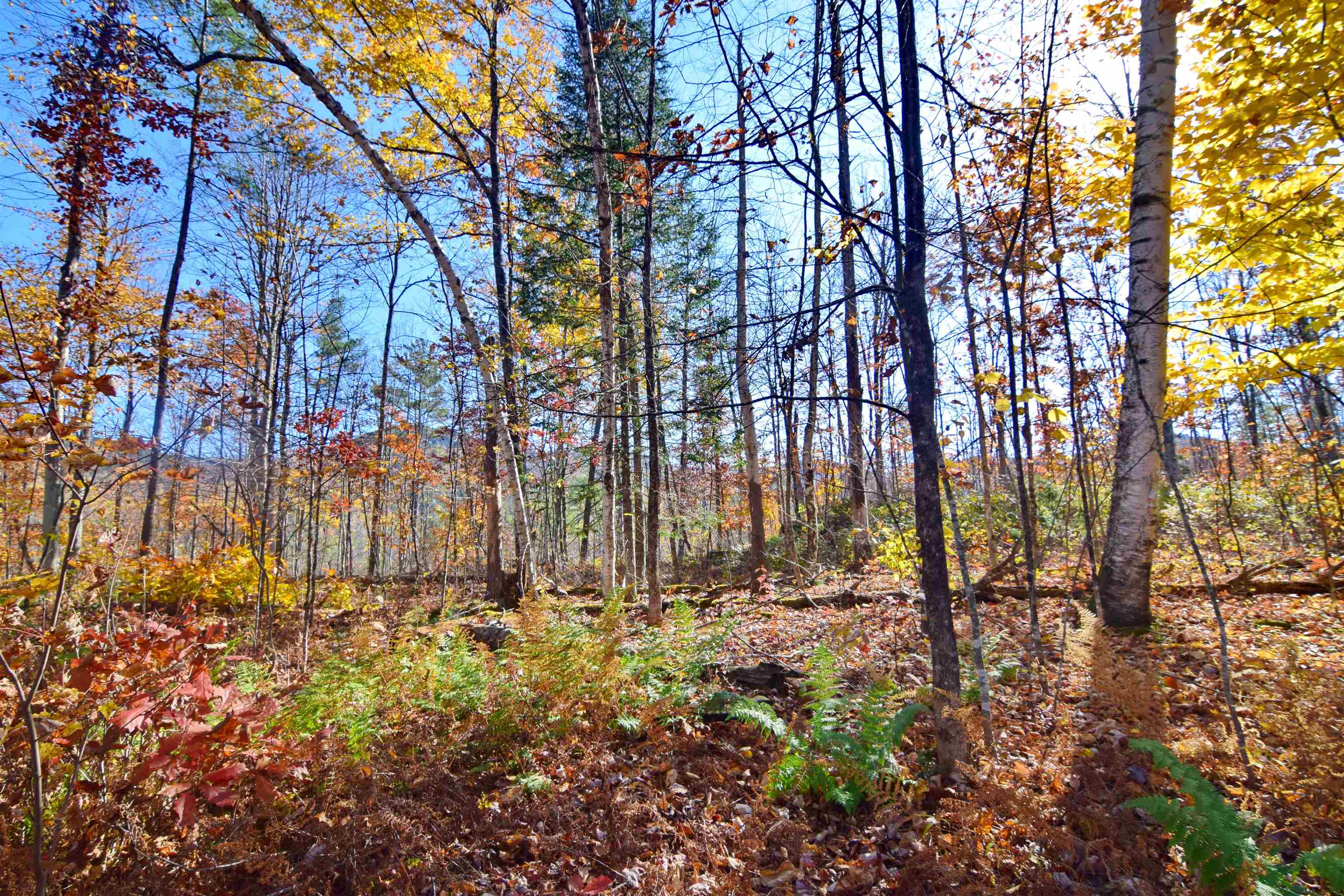 498 Smutty Hollow Road Monroe, NH 03771 - Photo 3 of 16