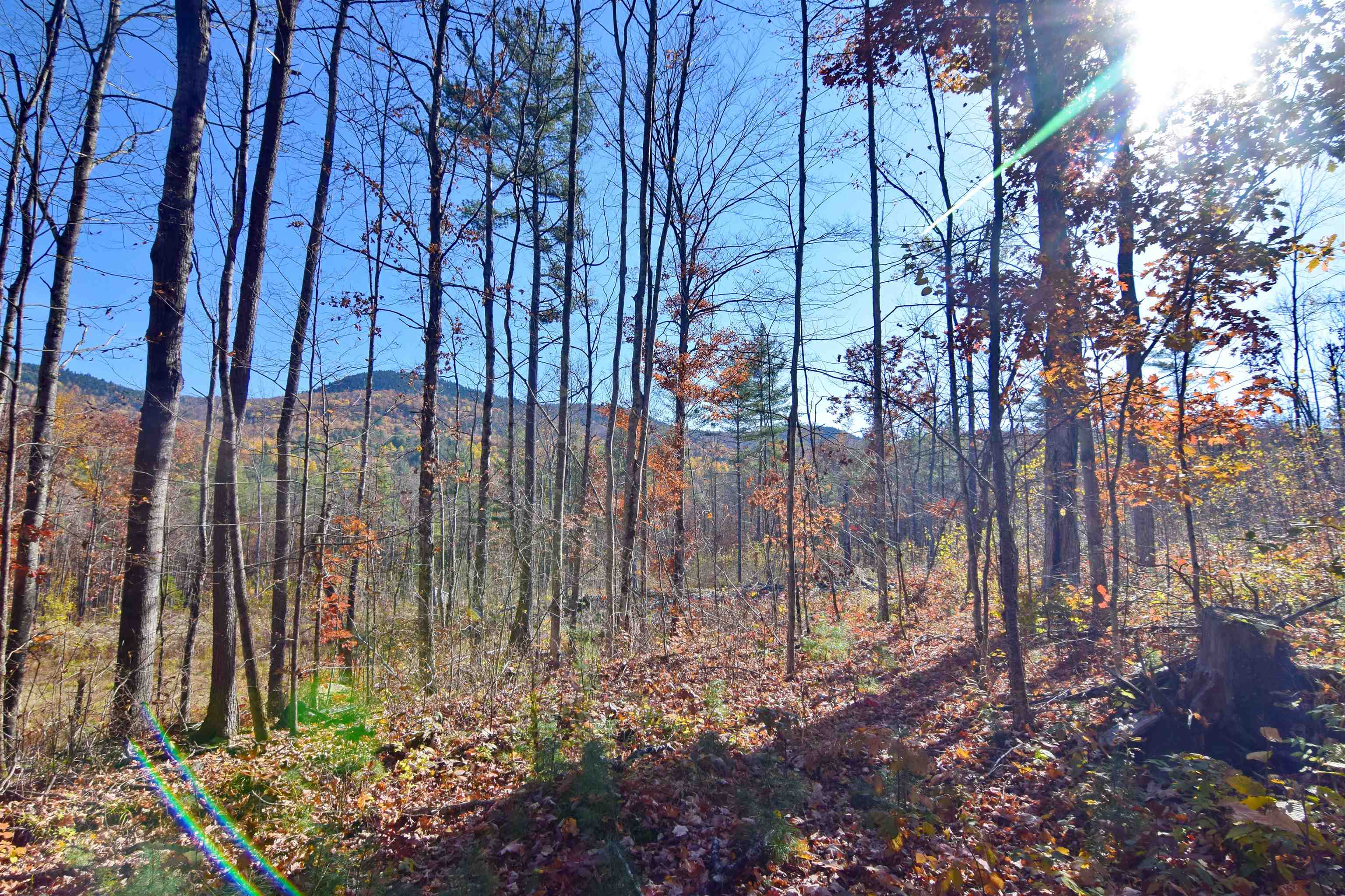 498 Smutty Hollow Road Monroe, NH 03771 - Photo 6 of 16