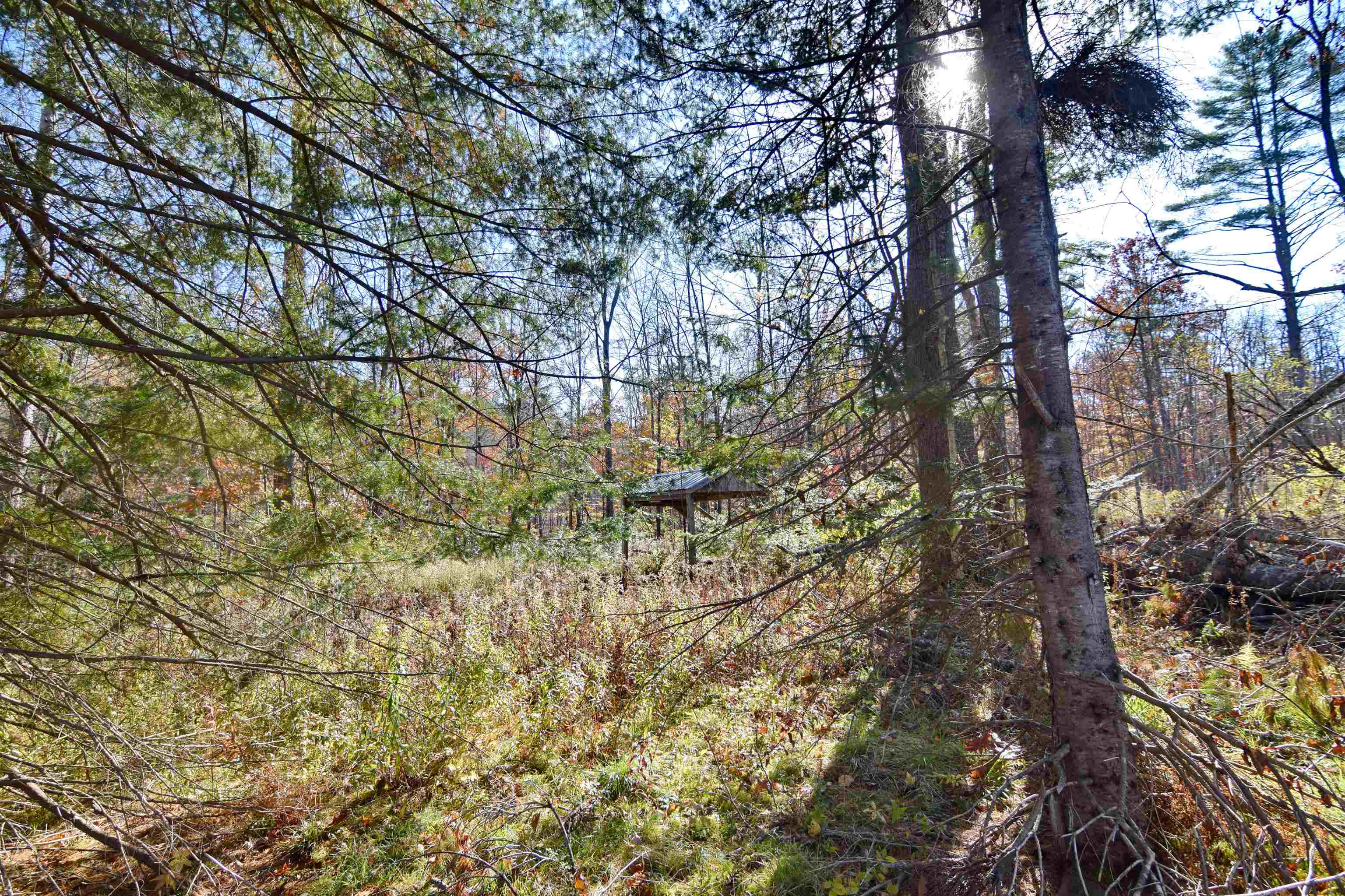 498 Smutty Hollow Road Monroe, NH 03771 - Photo 7 of 16