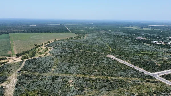 a view of a yard