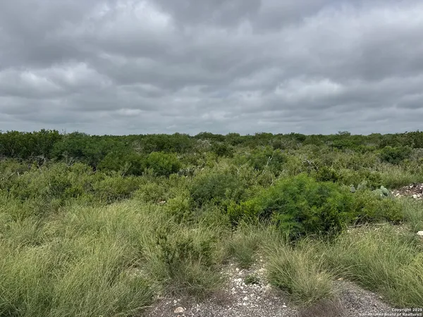a view of a green field