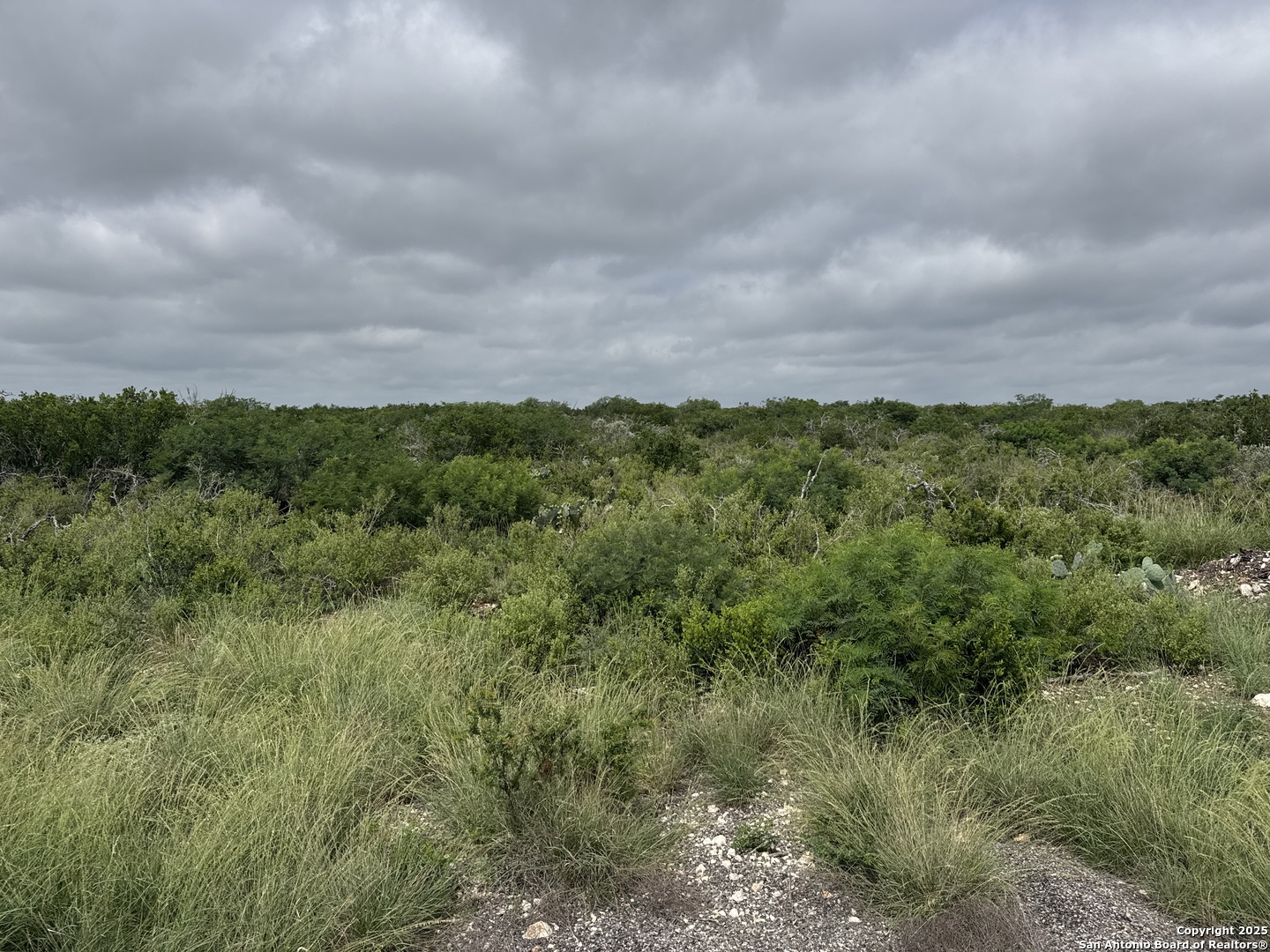675 Legend Hills Uvalde, TX 78801 - Photo 2 of 14 a view of a green field