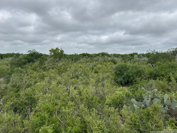 a view of a city with lush green forest