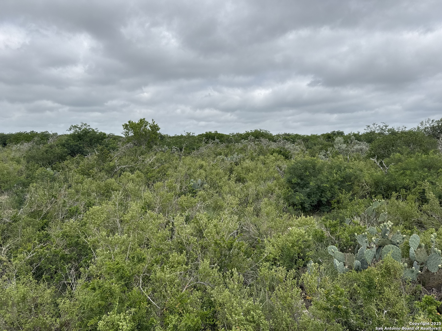 675 Legend Hills Uvalde, TX 78801 - Photo 3 of 14 a view of a city with lush green forest
