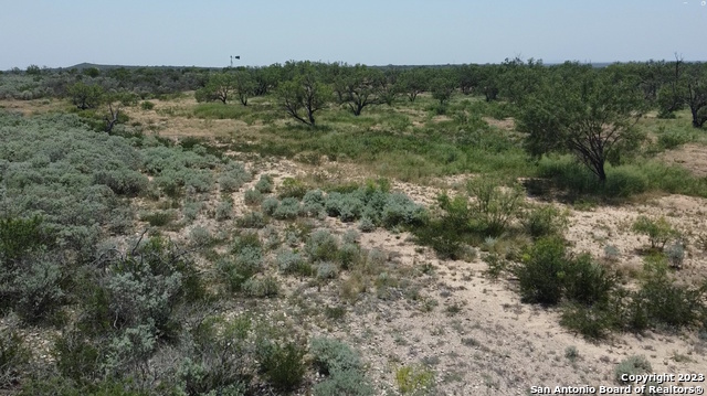 675 Legend Hills Uvalde, TX 78801 - Photo 7 of 14 a view of a lot of trees and bushes