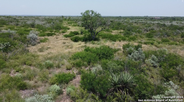 675 Legend Hills Uvalde, TX 78801 - Photo 9 of 14 a view of a forest with a street