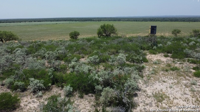 675 Legend Hills Uvalde, TX 78801 - Photo 10 of 14 a view of a lake with a yard and large trees