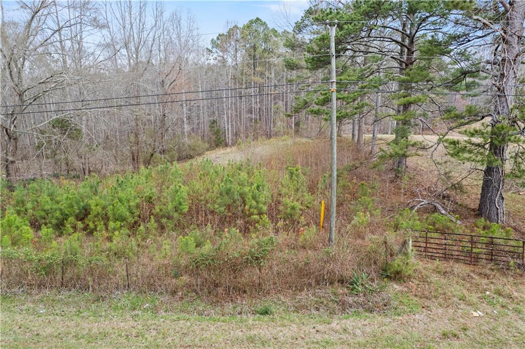 5534 Steadman Road Buchanan, GA 30113 - Photo 34 of 40 a backyard of a house