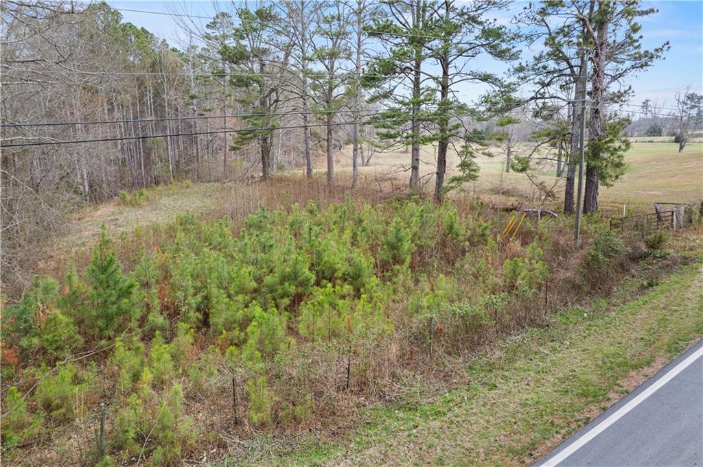 5534 Steadman Road Buchanan, GA 30113 - Photo 37 of 40 a view of a yard with large trees