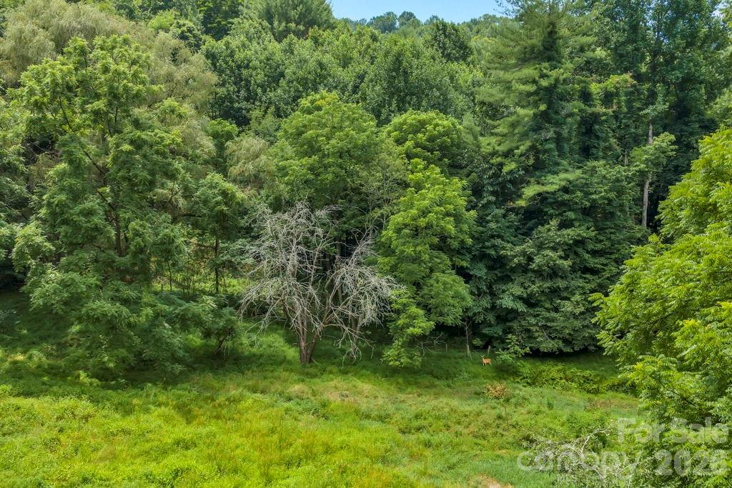 Tbd Bethel Road Sugar Grove, NC 28679 - Photo 13 of 19 Gallery Image 13