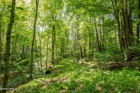 a view of outdoor space and trees