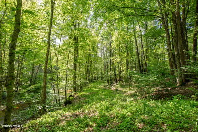 a view of outdoor space and trees
