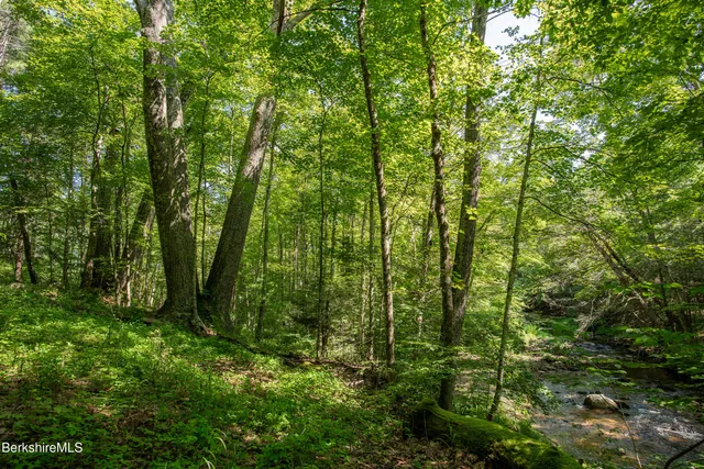 a view of outdoor space and green space