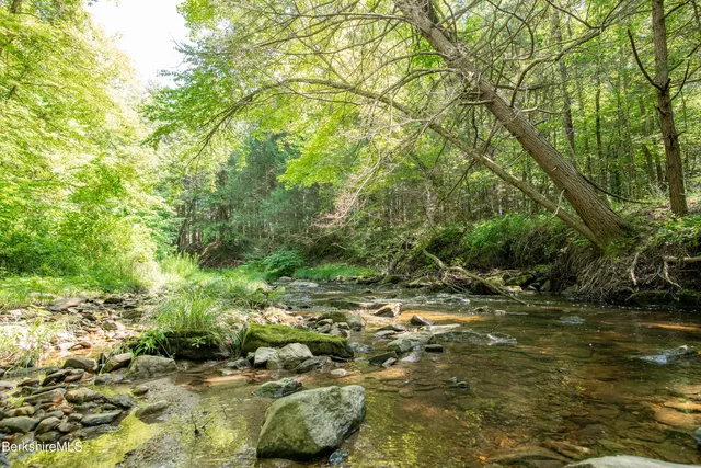 a view of a tree with a yard