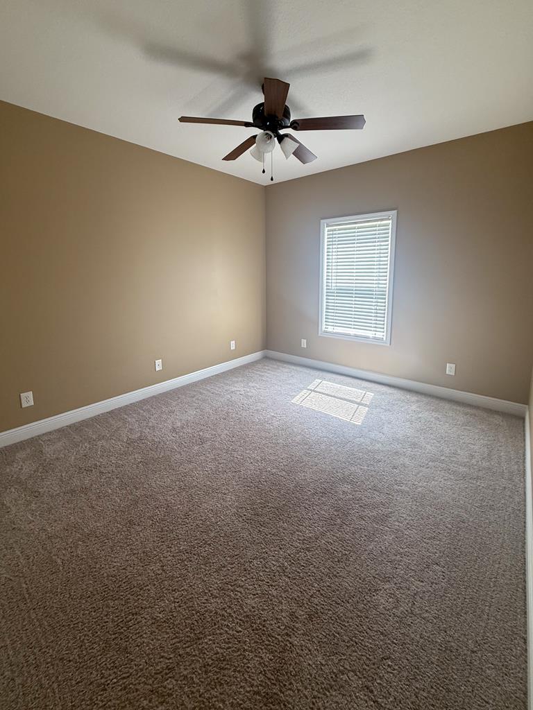 847 Windmill Road Newton, AL 36352 - Photo 24 of 27 Gallery Image 24