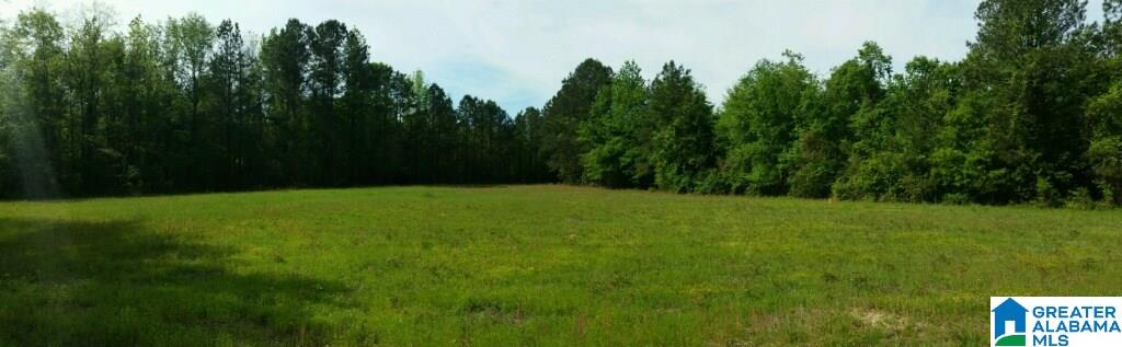 0 Elam School House Road, Unit 36 ACRES Brent, AL 35034 - Photo 3 of 7