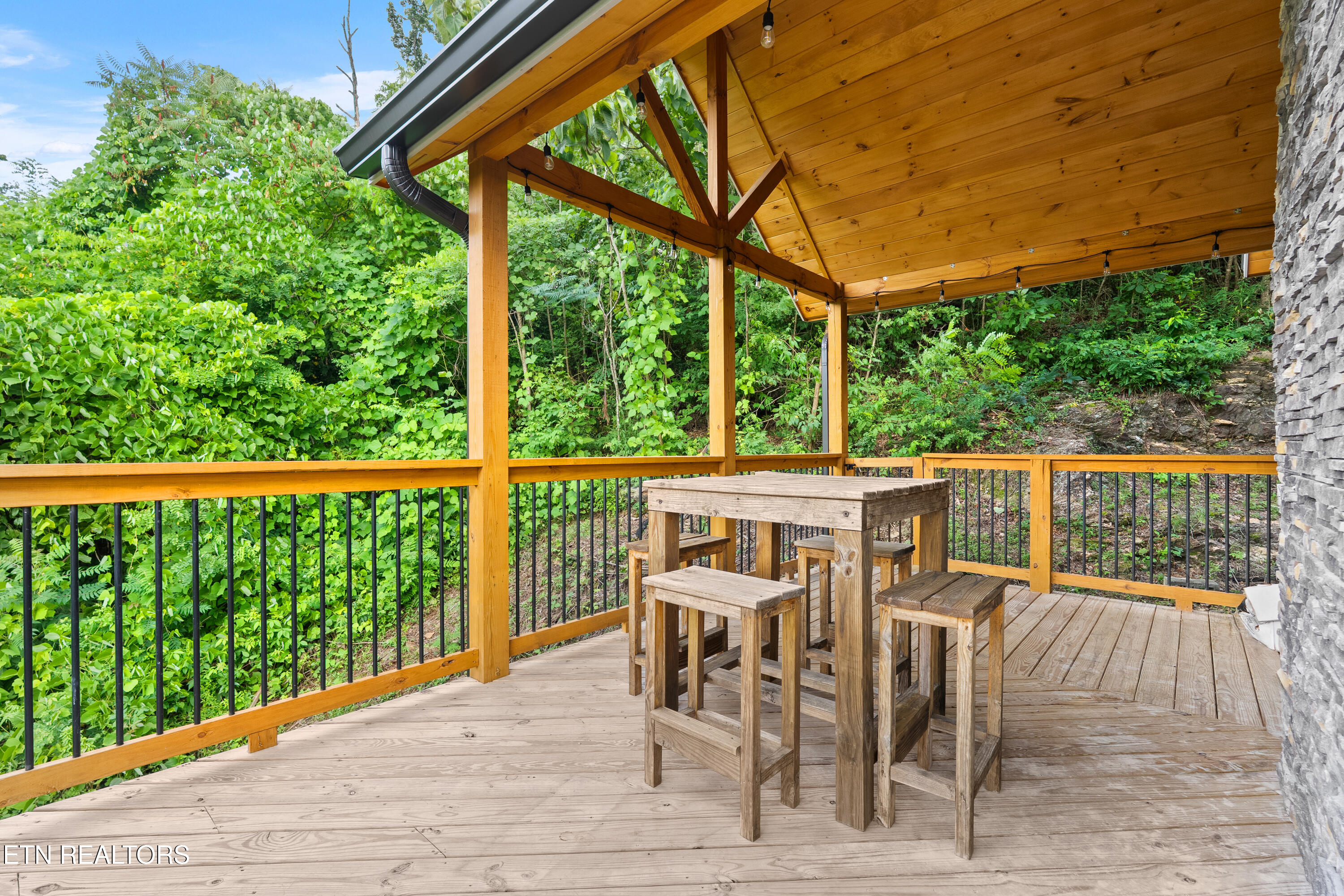 334 Long Hollow Road Sevierville, TN 37876 - Photo 40 of 43 DSC05423