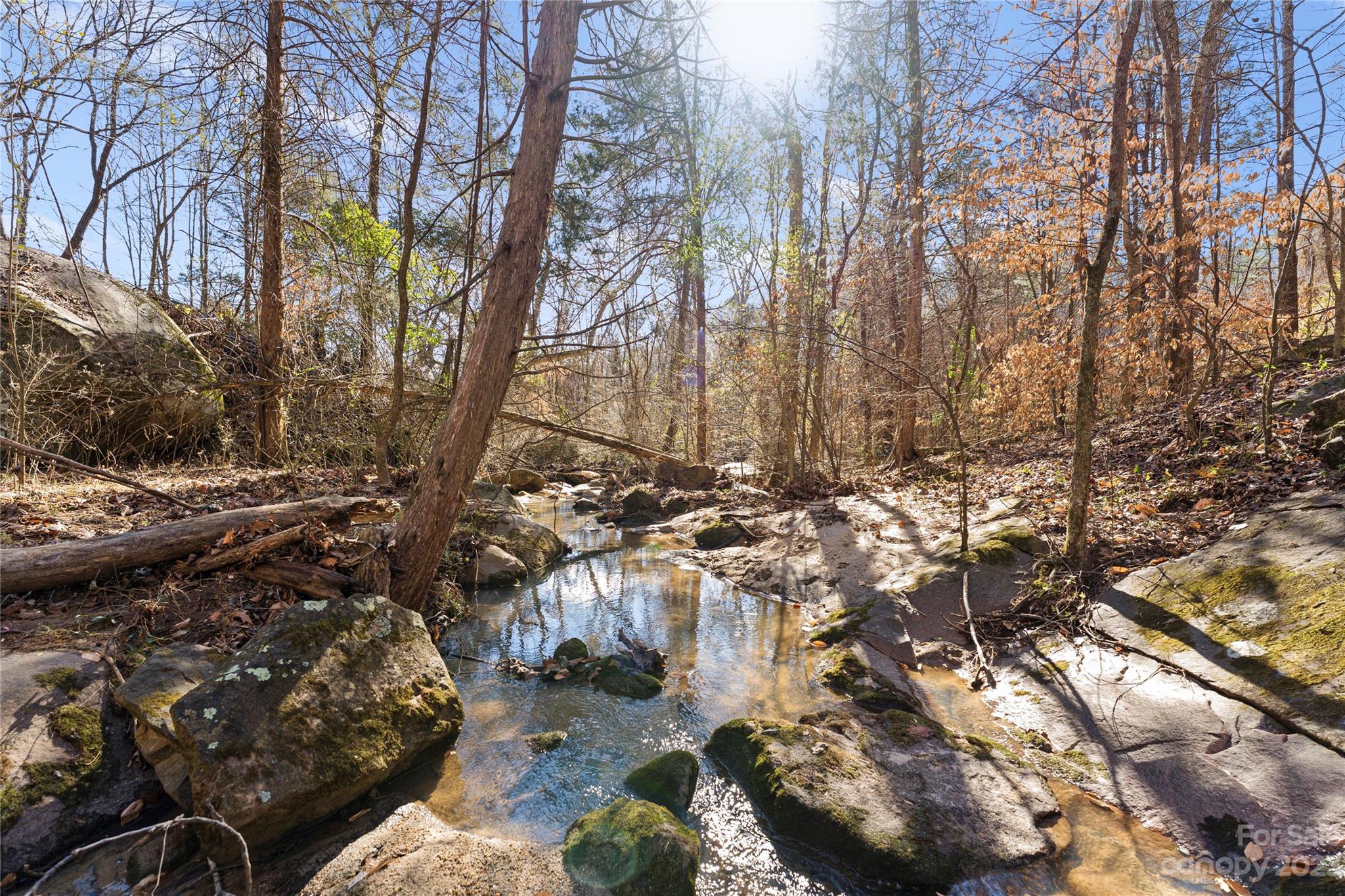 4121 Windy Road Concord, NC 28027 - Photo 3 of 22 a view of outdoor space with lots of trees